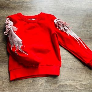 Jicheng Wings Red Unisex Sweatshirt.5T